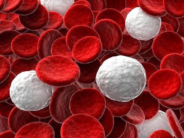 Nồng độ Hemoglobin trong máu bao nhiêu là cao, thấp, bình thường?