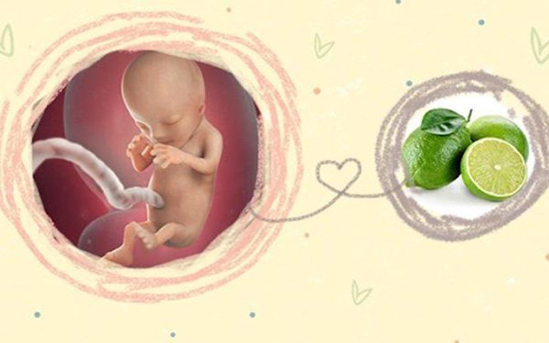 Chanh có tốt cho thai kỳ không?