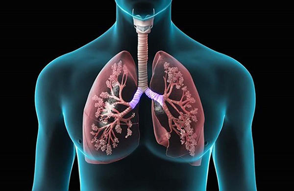 Phương pháp chẩn đoán hội chứng đông đặc phổi là gì?
