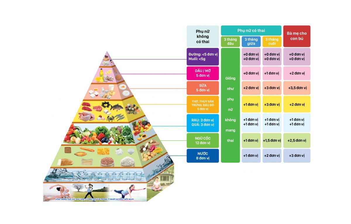 Dinh dưỡng ở phụ nữ cho con bú (kiến thức cơ bản)