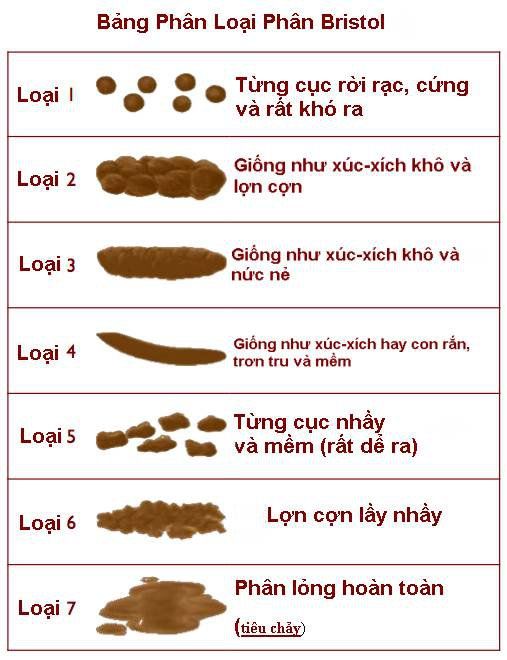 Thế Nào Là Phân Bình Thường?