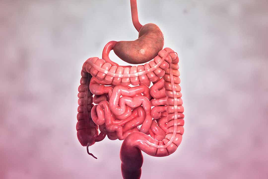 Các triệu chứng của Crohn - Những điều bạn cần biết