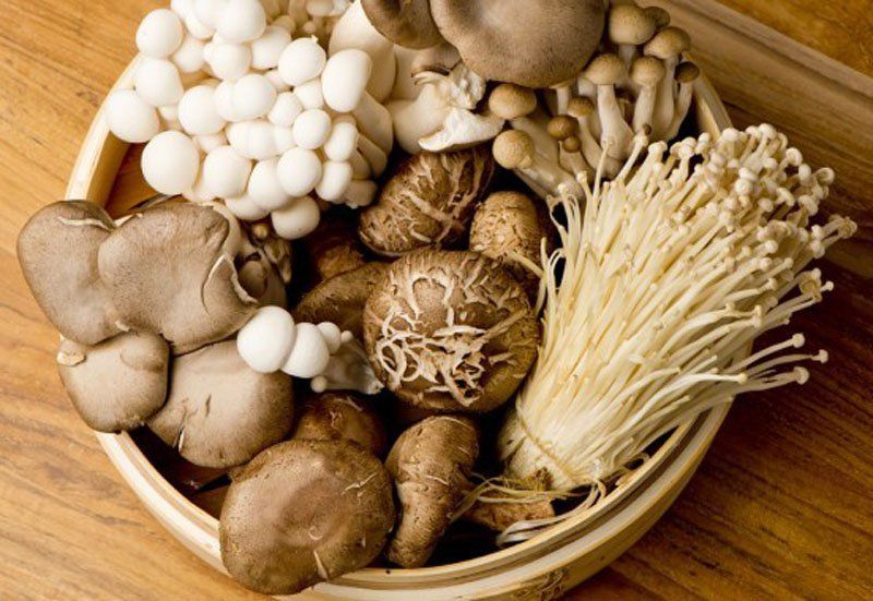 Bạn có nên đông lạnh nấm không?