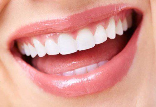 Các chức năng của răng cửa