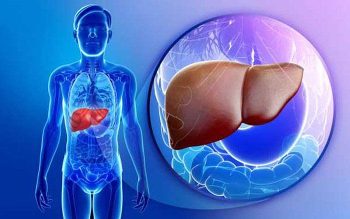 Thuốc Vosevi: Công dụng, chỉ định và lưu ý khi dùng
