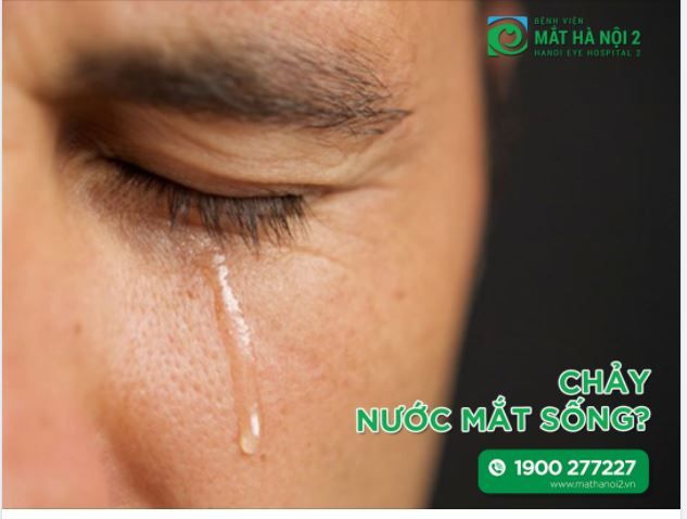 VÌ SAO BẠN CHẢY NƯỚC MẮT SỐNG?