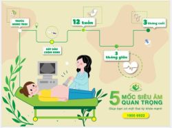 5 mốc siêu âm giúp bạn có một thai kỳ khỏe mạnh