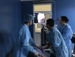 Hy hữu: Cứu sống cả mẹ và con sản phụ viêm thận lupus nguy kịch - Bệnh viện Bạch Mai