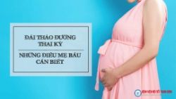 Khám tiểu đường thai kỳ ở đâu tốt? - Bệnh viện Nội Tiết Trung ương