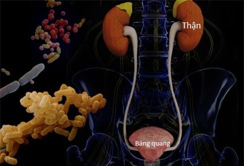 Bác sĩ viện Bạch Mai tiết lộ "sốc" nguyên nhân rất nhiều người Việt suy thận - Bệnh viện Bạch Mai