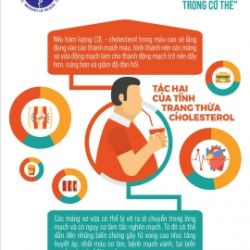 Hành động đẩy lùi Cholesteron trong cơ thể - Bệnh viện Nội Tiết Trung ương