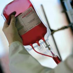 Sử dụng máu và chế phẩm máu thích hợp - Bệnh viện Bạch Mai