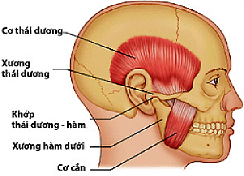 Mỏi hàm, đau tai buổi sáng coi chừng bị rối loạn thái dương hàm - Bệnh viện Bạch Mai