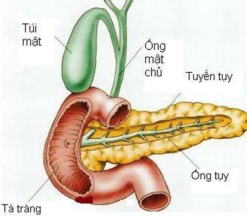Viêm tụy cấp nguy hiểm thế nào? - Bệnh viện Bạch Mai