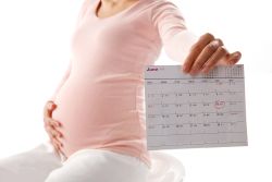 Lịch khám thai mẹ bầu cần biết - Bệnh viện Hoàn Mỹ Sài Gòn
