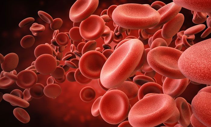 Những điều cần biết về công thức máu - Bệnh viện Hoàn Mỹ Sài Gòn