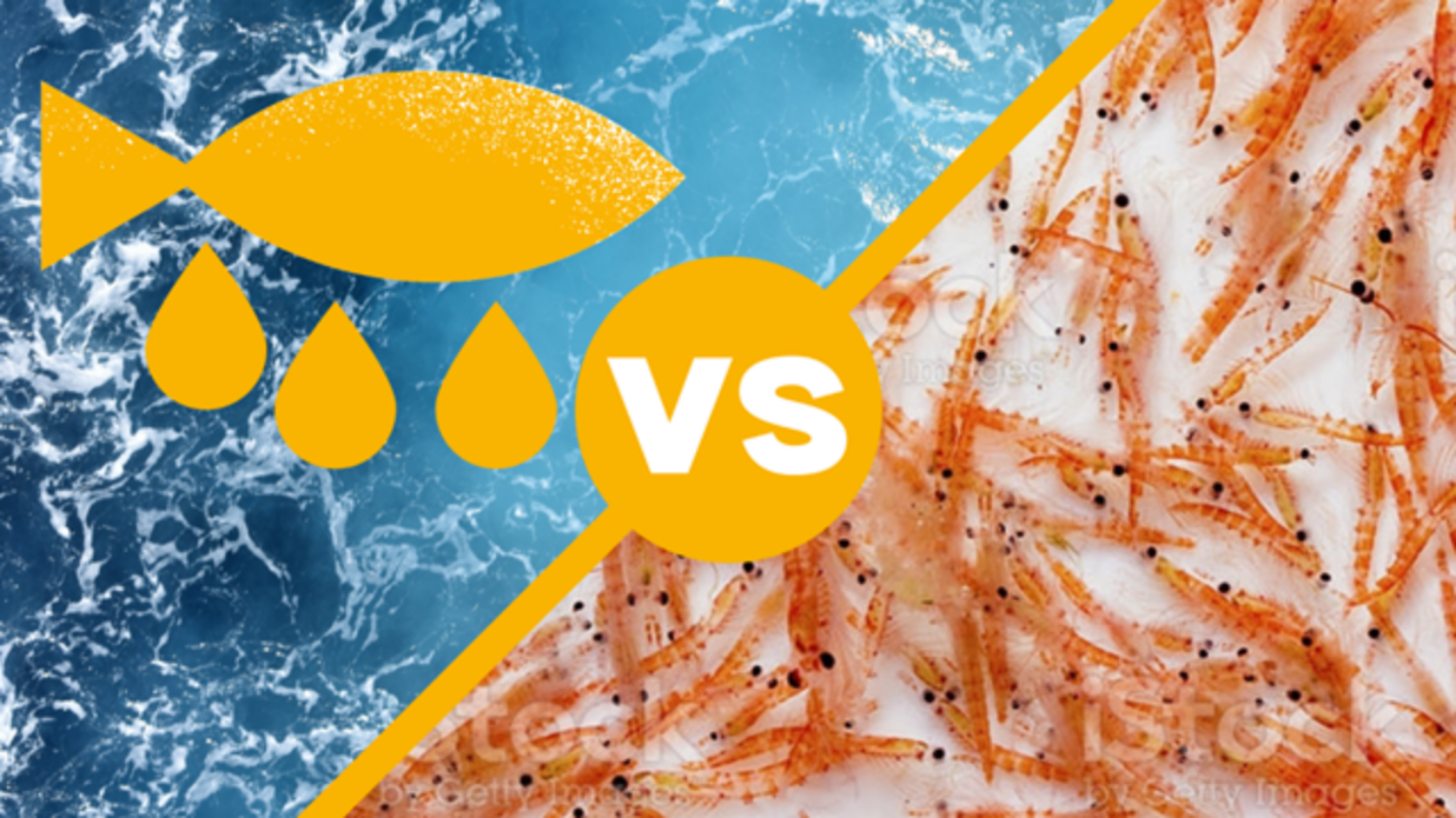 Dầu cá và dầu nhuyễn thể: Nên chọn loại nào?