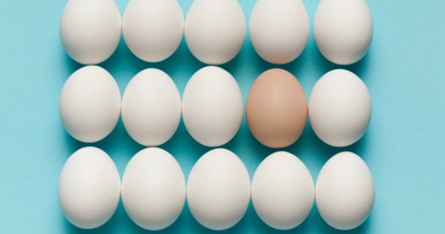Sự khác biệt giữa trứng gà thường, trứng gà thả vườn và trứng gà omega-3