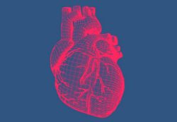 Nồng độ sắt có lợi cho sức khỏe tim mạch nhưng lại làm tăng nguy cơ đột quỵ