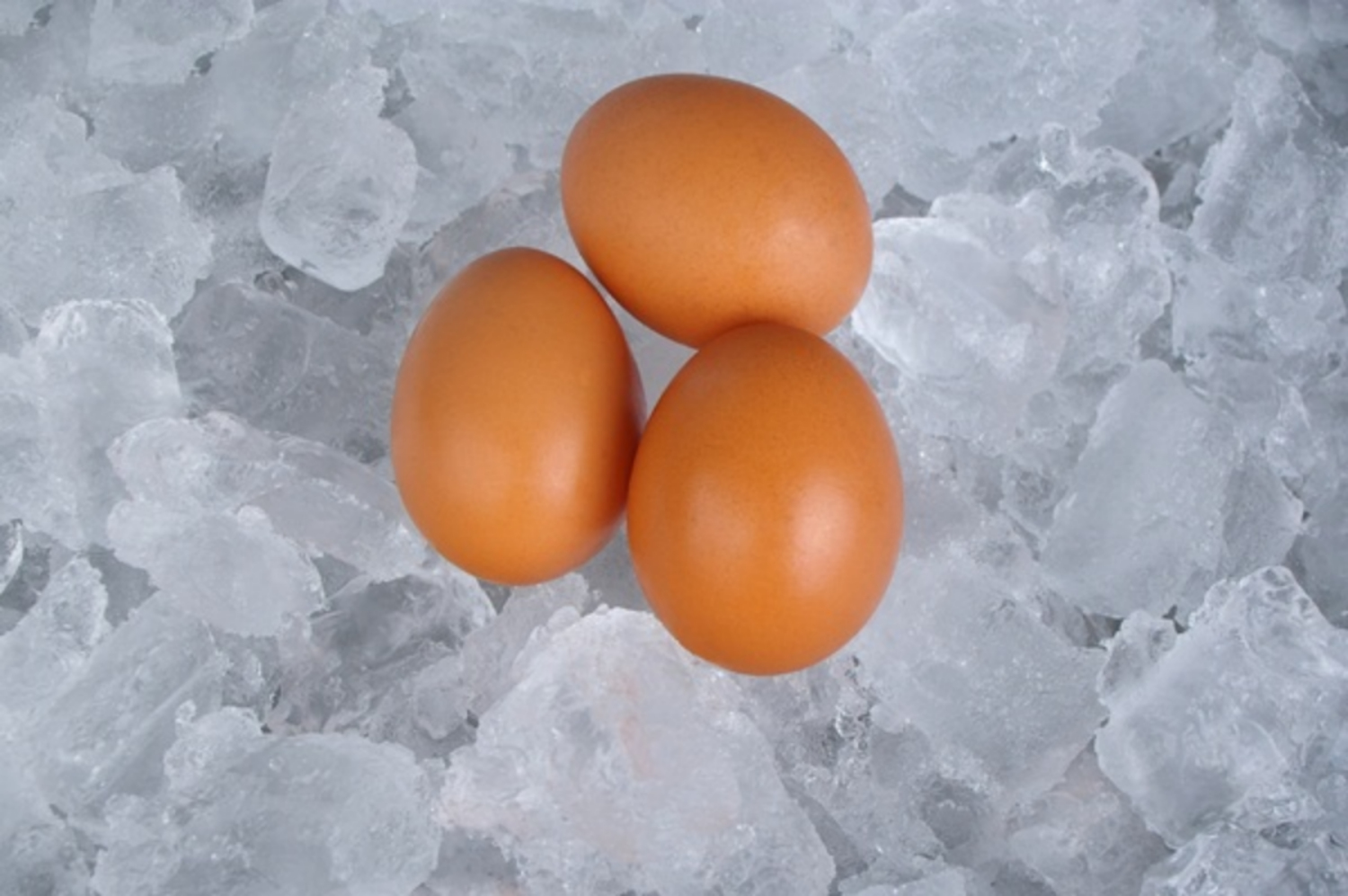Có nên bảo quản trứng trong ngăn đá tủ lạnh không?