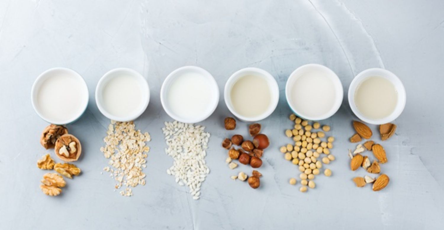Các lựa chọn thay thế cho 7 sản phẩm từ sữa dành cho người dị ứng hoặc ăn chay