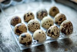 Trứng cút: Giá trị dinh dưỡng, lợi ích và cách chế biến