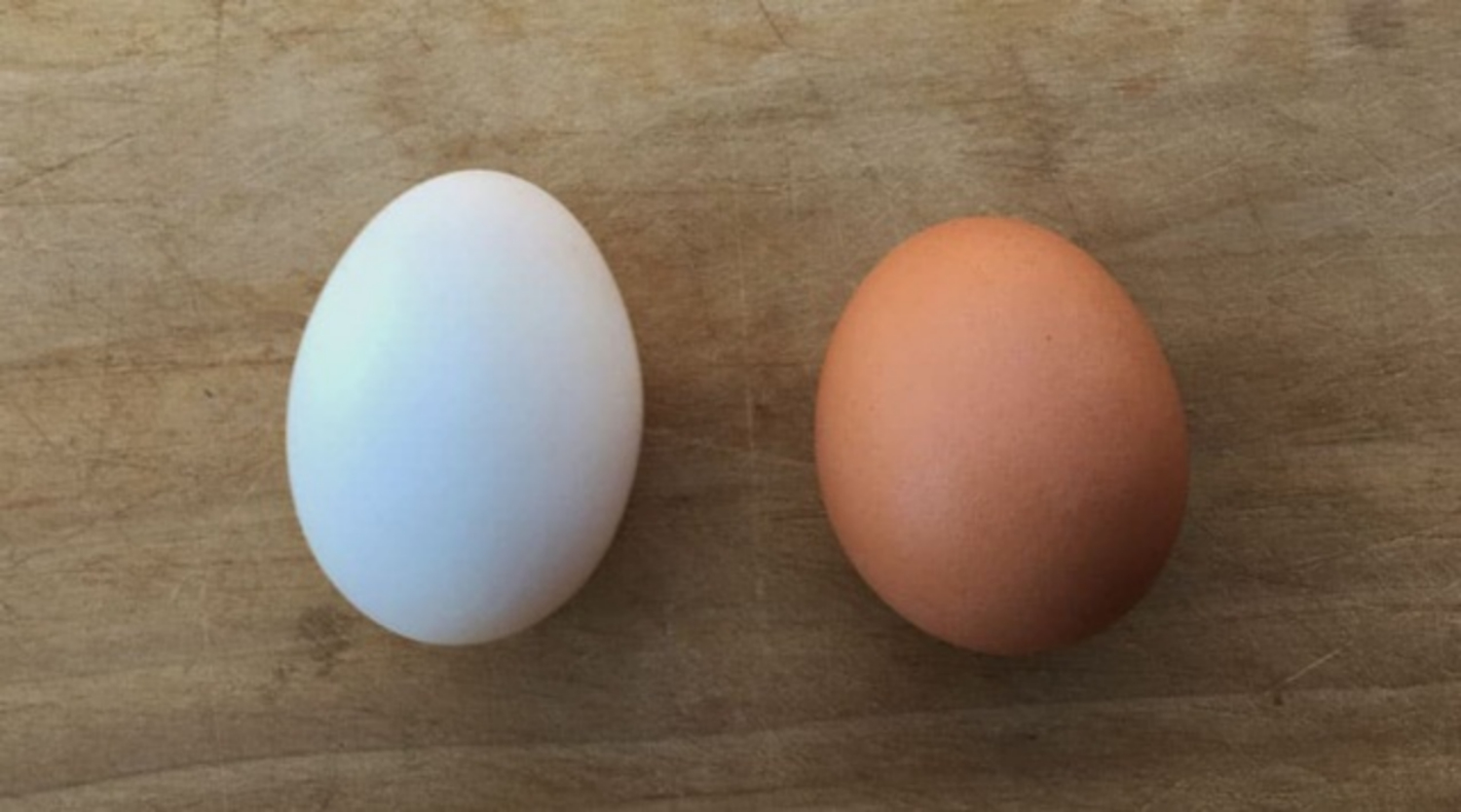 Trứng gà và trứng vịt có gì khác nhau?