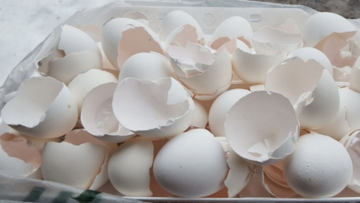 Các lợi ích của vỏ trứng đối với sức khỏe
