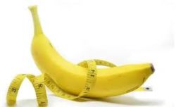 Tấm Độn Sinh Học Từ Da Động Vật Và Từ Da Người: Loại Nào Tốt Hơn?