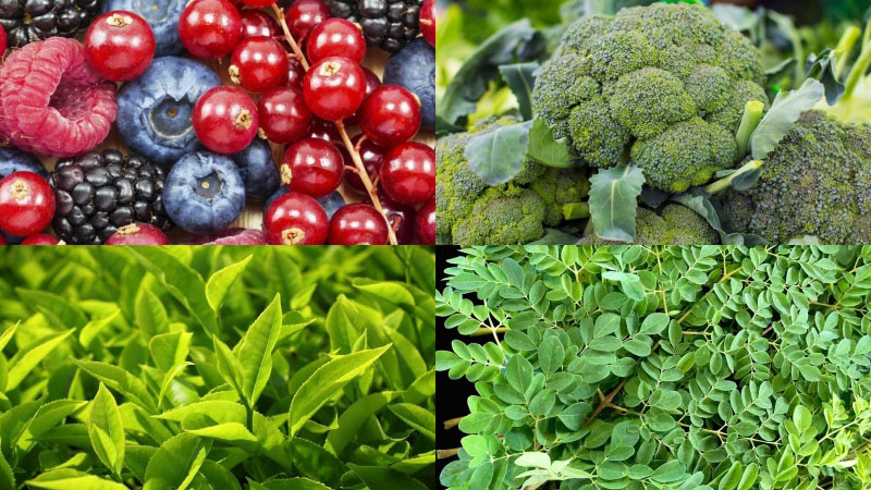 Quercetin có trong nhiều loại trái cây, rau, lá và ngũ cốc