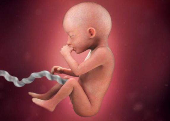 Sự thay đổi của bà bầu tuần 19