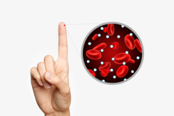 Nguyên nhân nào gây kháng insulin?
