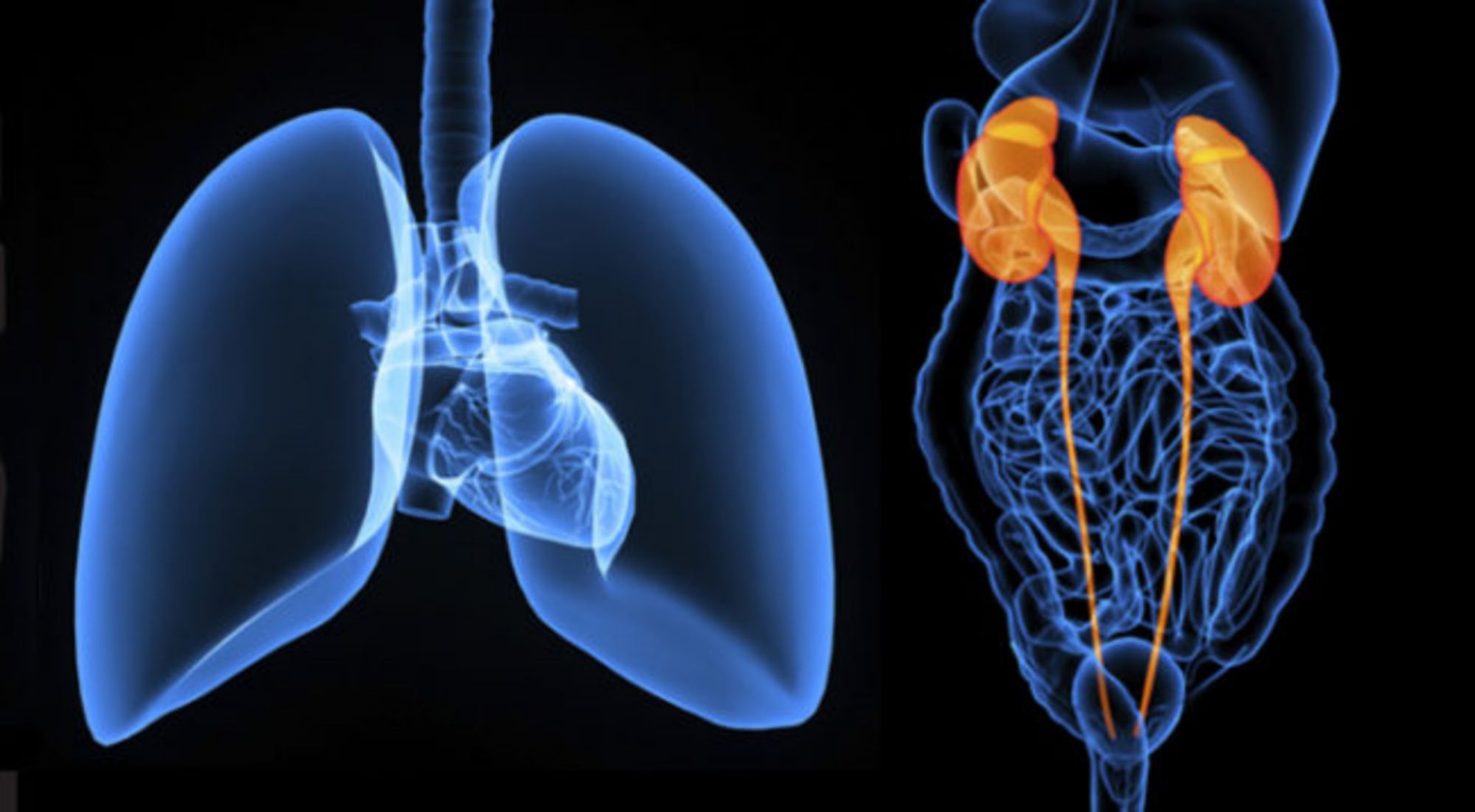Mối liên hệ giữa bệnh phổi tắc nghẽn mạn tính (COPD) và suy thận mạn