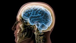 Tại sao suy thận mạn giai đoạn cuối gây lú lẫn?