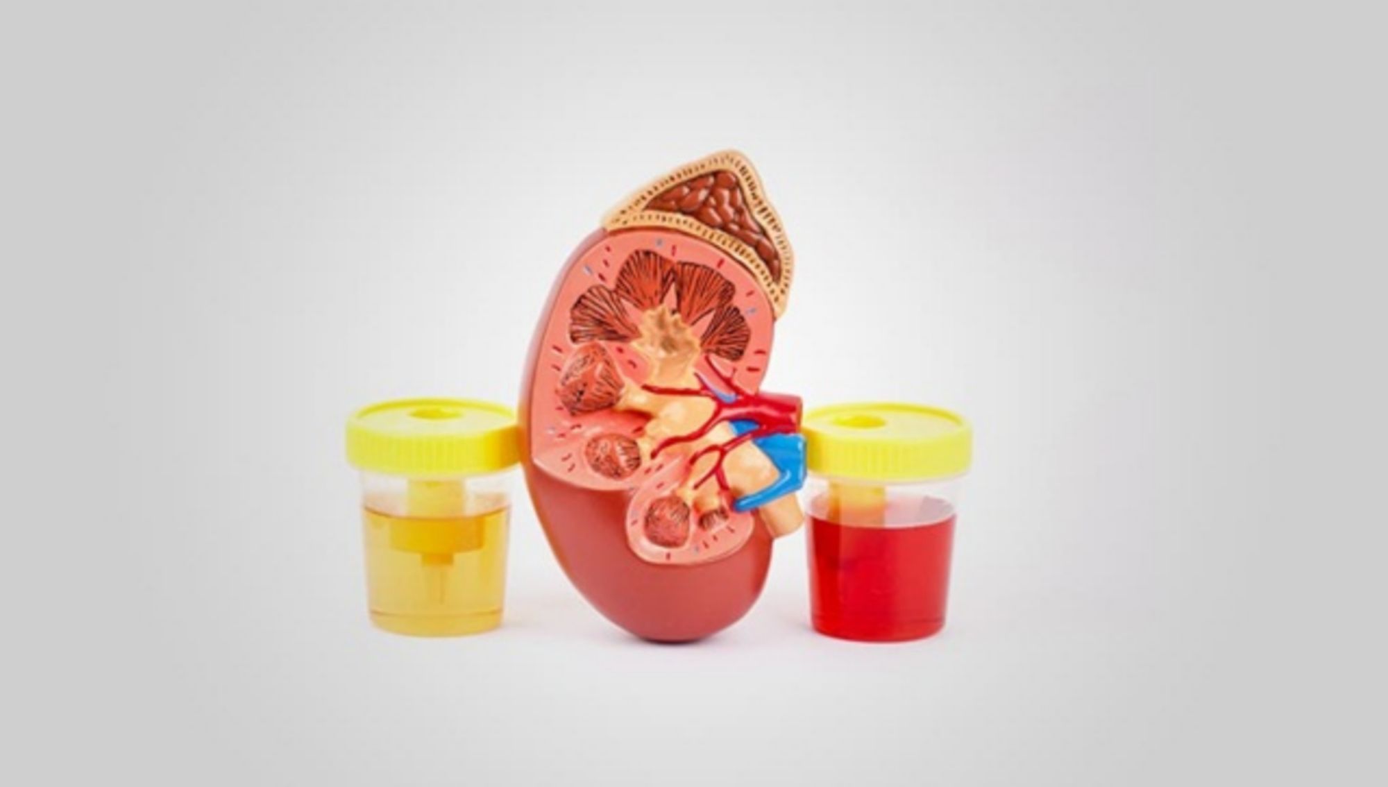 Các loại xét nghiệm chức năng thận