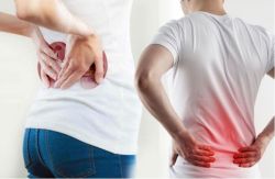 Phân biệt cơn đau do bệnh thận và đau lưng