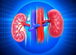 Hoại tử ống thận cấp tính điều trị bằng cách nào?