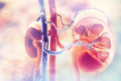 Bệnh thận IgA (bệnh Berger) là gì? Có nguy hiểm không?