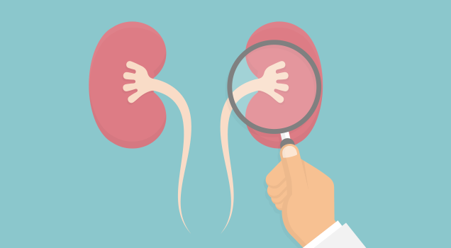 Bất sản thận điều trị bằng cách nào?
