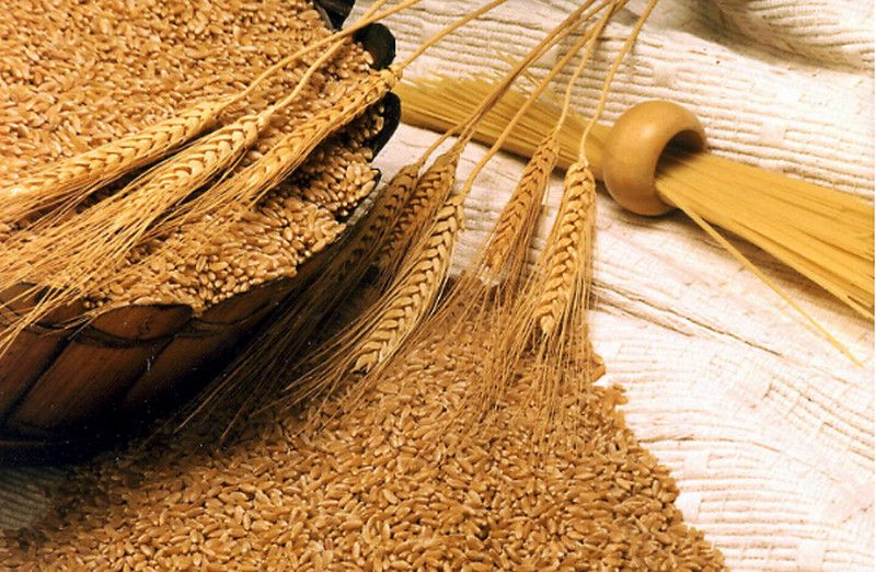 Lúa mì Bulgur (Bulgur wheat) - sản phẩm ngũ cốc nguyên cám tuyệt vời