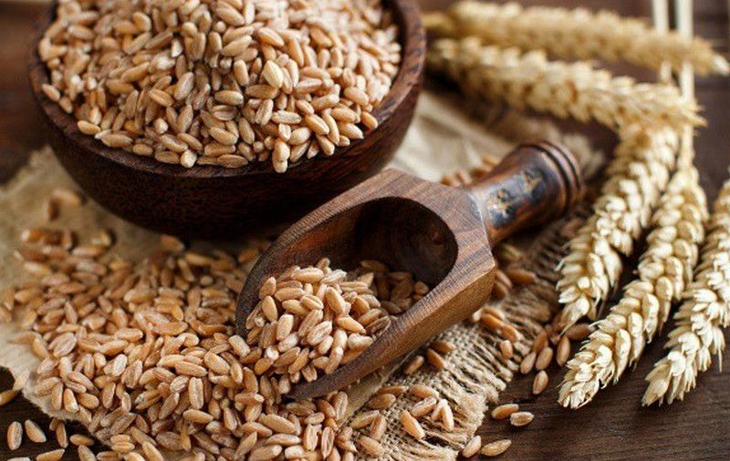 Lúa mì spelt - Dạng ngũ cốc nguyên cám giàu dinh dưỡng