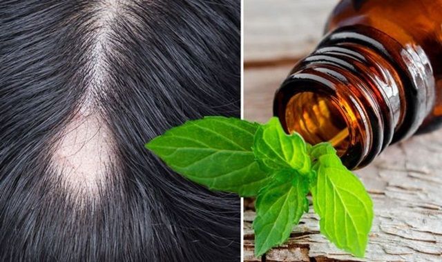 Tinh dầu bạc hà có lợi gì cho mái tóc?