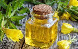 Trị mụn trứng cá và sẹo mụn bằng dầu hoa anh thảo có hiệu quả không?