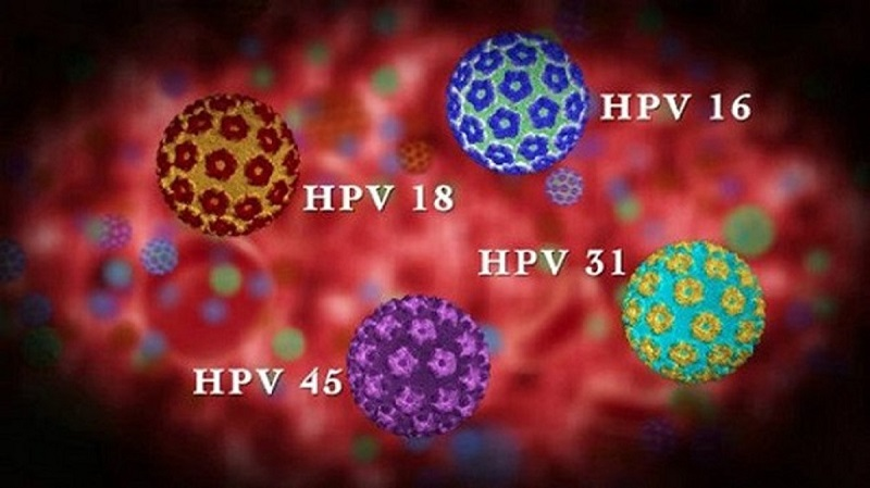 [GIẢI ĐÁP] Người Chưa Quan Hệ Có Nhiễm HPV Không?