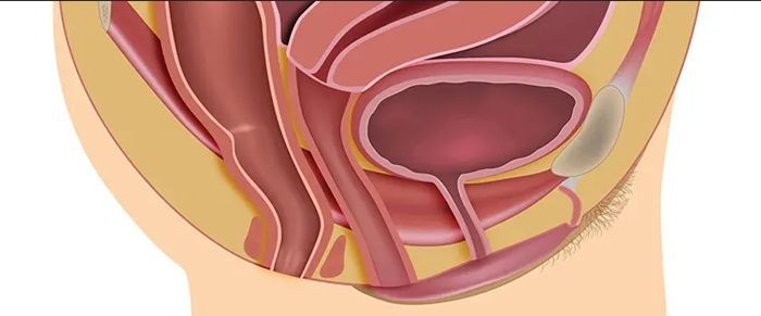 Sa niệu đạo điều trị bằng cách nào?