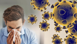 Virus Cảm Cúm Phát Tán Và Lây Lan Như Thế Nào?