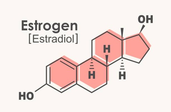 Mối liên hệ giữa hormone estrogen và bệnh loãng xương