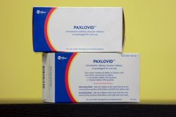 Thuốc Paxlovid có gây mất ngủ không?