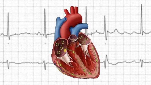 Rung thất là gì? Có nguy hiểm không?