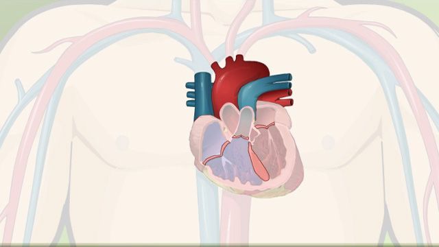 Hội chứng Eisenmenger là gì?